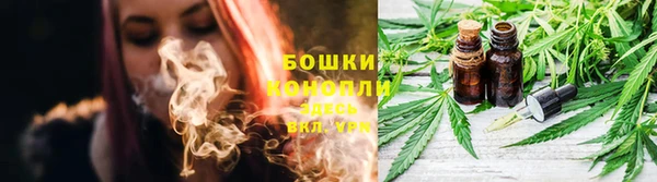ПСИЛОЦИБИНОВЫЕ ГРИБЫ Верея