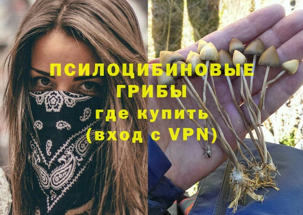 тгк Бронницы