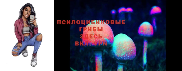 тгк Бронницы