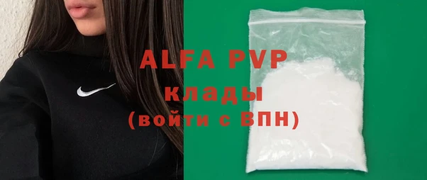 прущие грибы Бородино