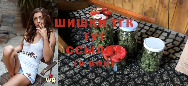 прущие грибы Бородино