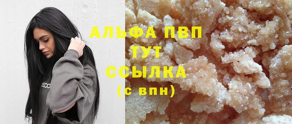 прущие грибы Бородино