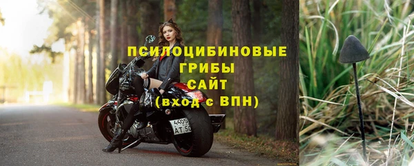 прущие грибы Бородино