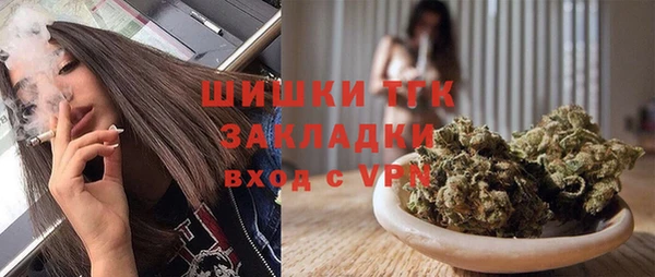 прущие грибы Бородино