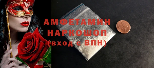 прущие грибы Бородино